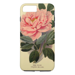Funda Para iPhone 8 Plus/7 Plus iPhone 7 del Peony más, duro