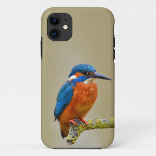 Funda Para iPhone 11 iPhone Apple funda-Mate 11