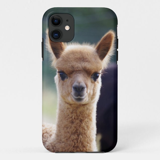 Funda De Case-Mate Para iPhone iPhone de la alpaca 5 casos (Reverso)