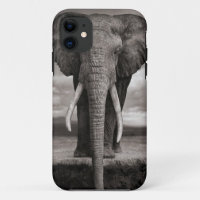 iphone, elefante