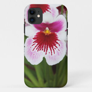 title_seo2 iPhone gráfico 5case de la foto del iris elegante