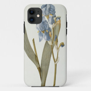 title_seo2 Iris Pallida, de "Les Liliacees", 1812