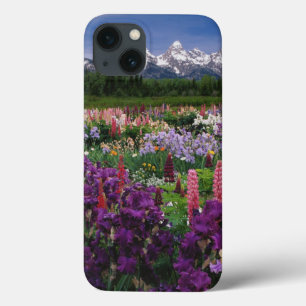 title_seo2 Iris y Lupine Garden y Teton Range,