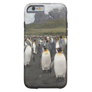 Funda Resistente Para iPhone 6 Isla del sur de Georgia, puerto del oro. Pingüino