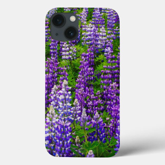 Funda De Case-Mate Para iPhone Islandia. Vik i Myrdal. Campo de Lupines (Reverso)