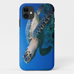 Funda Para iPhone 11 Islas Caimán, Little Cayman Island, Bajo el agua 2