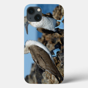 Funda Para iPhone 13 Islas Galápagos, Isla Isabela