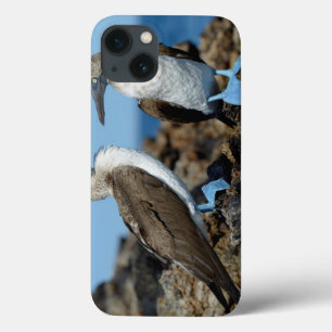 Funda Para iPhone 13 Islas Galápagos, Isla Isabela