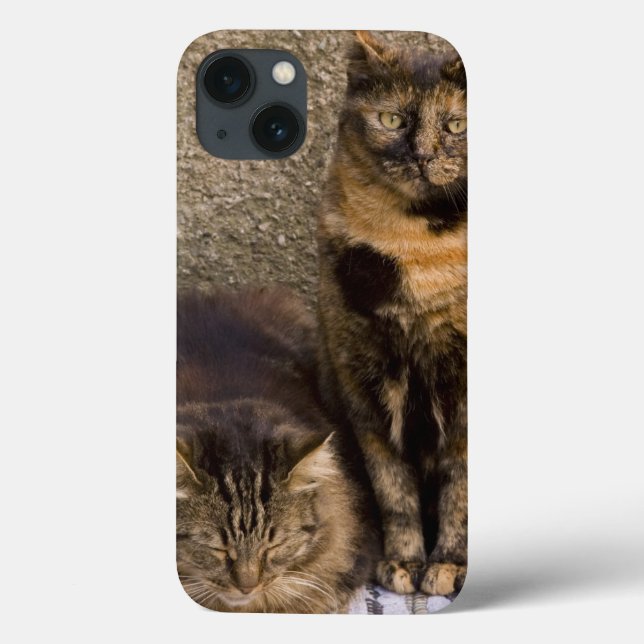 Funda De Case-Mate Para iPhone Italy, Cinque Terre, Vernazza. Three cats beside (Reverso)