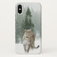 Jaguar en la nieve
