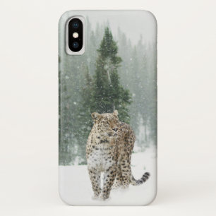 title_seo2 Jaguar en la nieve