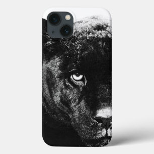 title_seo2 Jaguar Eye