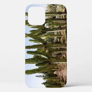Funda Para iPhone 12 Jardín Cacti, paisaje tropical del desierto.