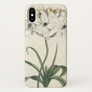 Funda Para iPhone X Jardín de Marfil