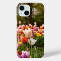 Jardín de Tulipanes Vibrantes Fotografía de Natura
