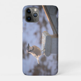 Funda Para iPhone 11 Pro Jay azul