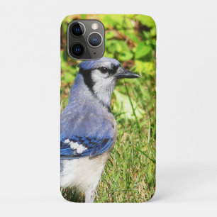 Funda Para iPhone 11 Pro Jay Blue del Norte