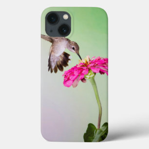 Funda Para iPhone 13 Jeff el condado de Davis, Tejas