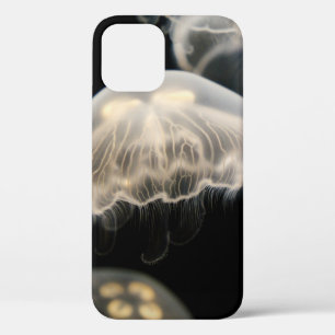 FUNDA PARA iPhone 12 JELLYFISH BLANCO