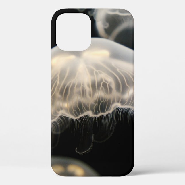 FUNDA DE Case-Mate PARA iPhone JELLYFISH BLANCO (Reverso )