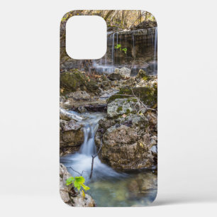 Funda Para iPhone 12 Jewel Of Henning Conservation