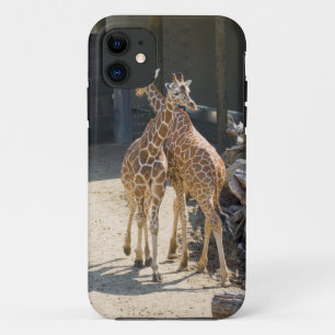 Funda Para iPhone 11 jirafas