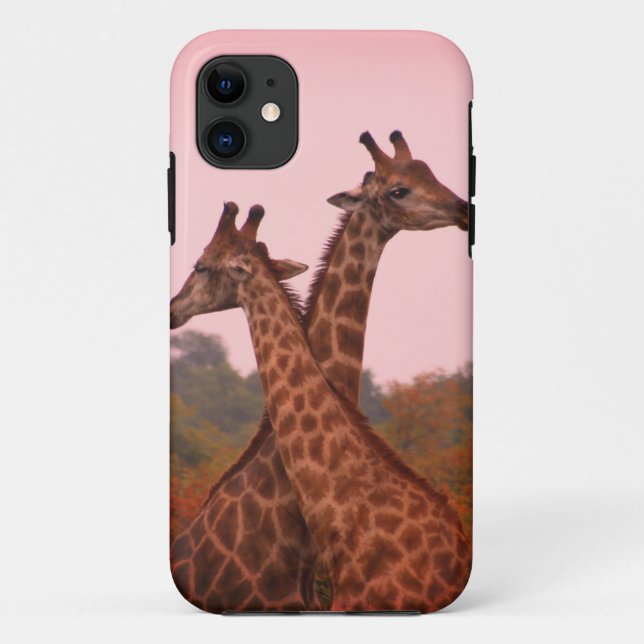 Funda De Case-Mate Para iPhone jirafas paradas en árboles mopani con cielo rosa (Reverso)
