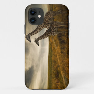 Funda Para iPhone 11 Jirafas y el paisaje