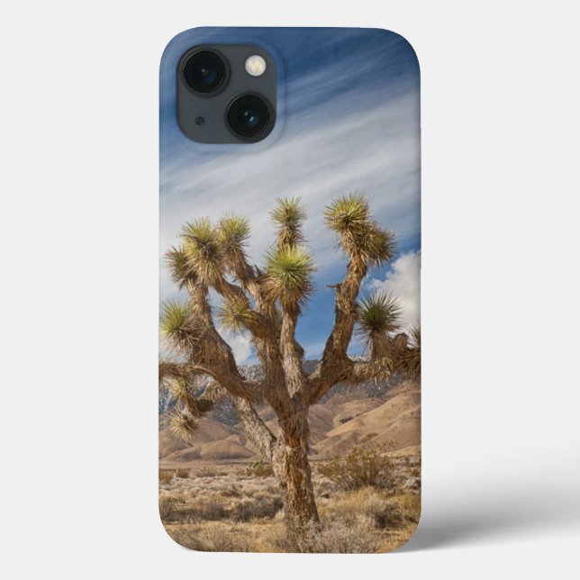 Funda De Case-Mate Para iPhone Joshua Trees in Desert (Reverso)