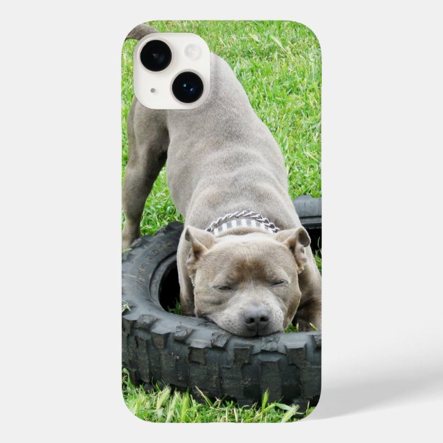 Funda De Case-Mate Para iPhone Joven Staffy Macho Jugando Con Su Neumático, (Reverso )