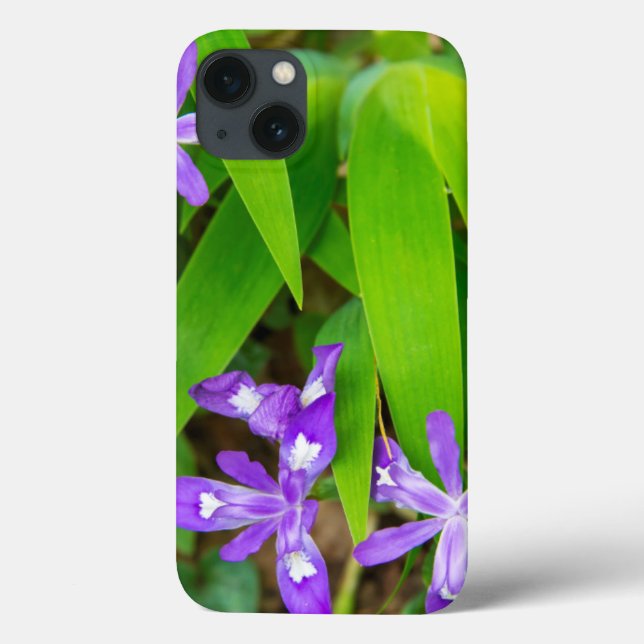 Funda De Case-Mate Para iPhone Joyce Kilmer-Slickrock Wilderness 2 (Reverso)