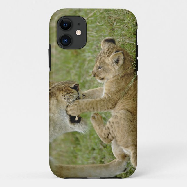 Funda De Case-Mate Para iPhone Jugando Lion Cub (Reverso)