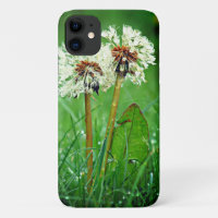 Juntos. Siempre dos Dandelions con gotas de lluvia