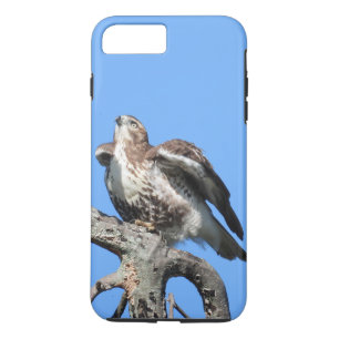 Funda Para iPhone 8 Plus/7 Plus Juvenile Red Tail Hawk