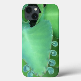 Funda Para iPhone 13 Kalanchoe