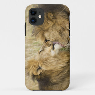 Funda Para iPhone 11 Kenia, Masai Mara