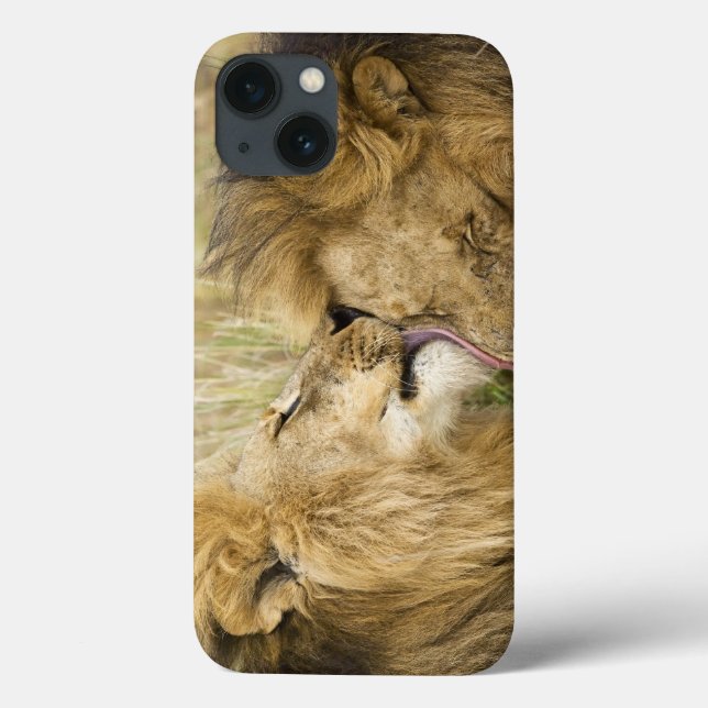Funda De Case-Mate Para iPhone Kenia, Masai Mara (Reverso)