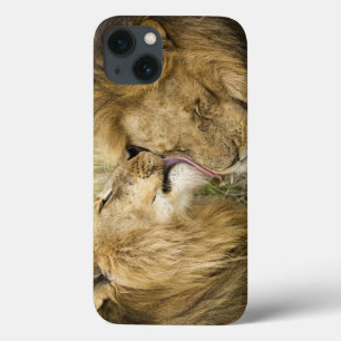Funda Para iPhone 13 Kenia, Masai Mara