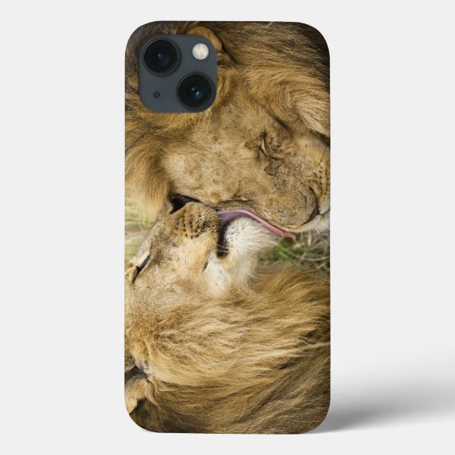 Funda De Case-Mate Para iPhone Kenia, Masai Mara (Reverso)
