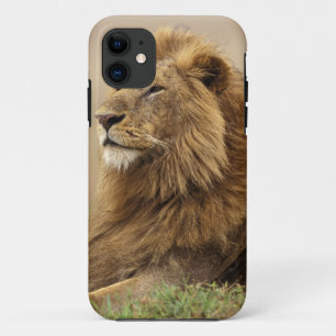Funda Para iPhone 11 Kenia, Masai Mara León macho