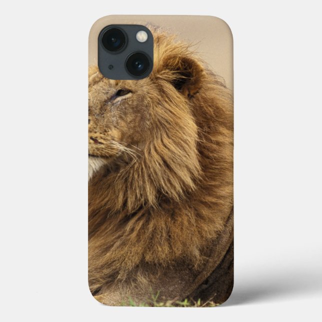 Funda De Case-Mate Para iPhone Kenia, Masai Mara | León masculino (Reverso)