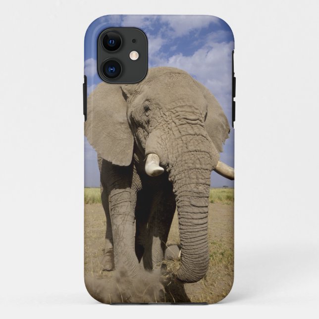 Funda De Case-Mate Para iPhone Kenia: Parque Nacional Amboseli, elefante macho (Reverso)