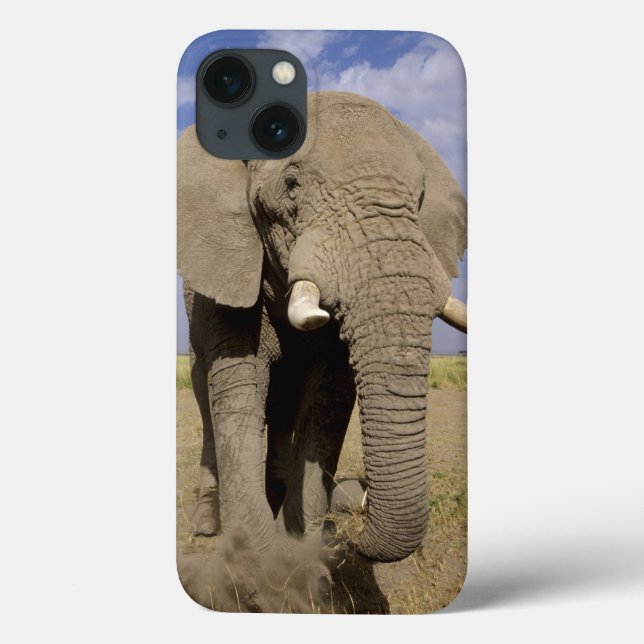 Funda De Case-Mate Para iPhone Kenia: Parque Nacional Amboseli, elefante masculin (Reverso)