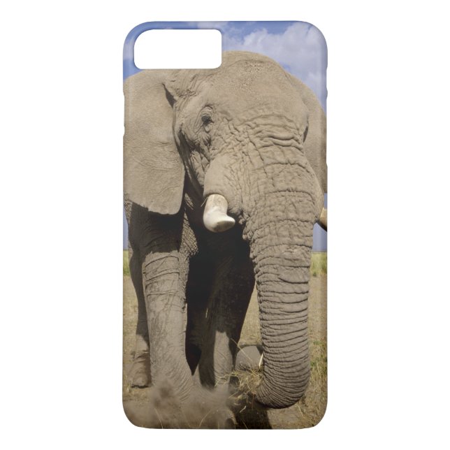 Funda De Case-Mate Para iPhone Kenia: Parque Nacional Amboseli, elefante masculin (Reverso)