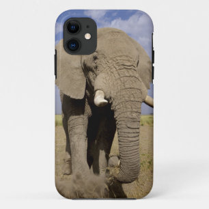 Funda Para iPhone 11 Kenia: Parque Nacional de Amboseli, elefante macho