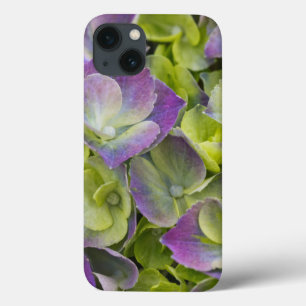 Funda Para iPhone 13 Keukenhof Garden Hydrangea