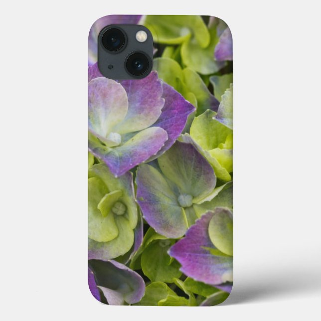 Funda De Case-Mate Para iPhone Keukenhof Garden Hydrangea (Reverso)