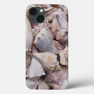 Funda Para iPhone 13 Key West, conchas de mar