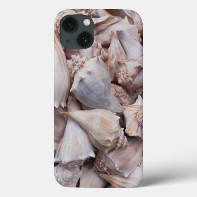 Funda De Case-Mate Para iPhone Key West, conchas de mar (Reverso)