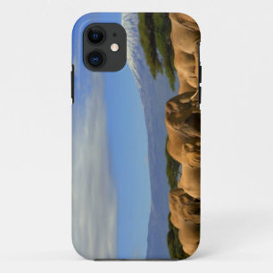 Funda Para iPhone 11 Kilimanjaro y elefantes